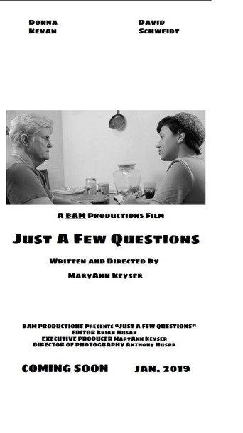 Just a Few Questions (2019) poster