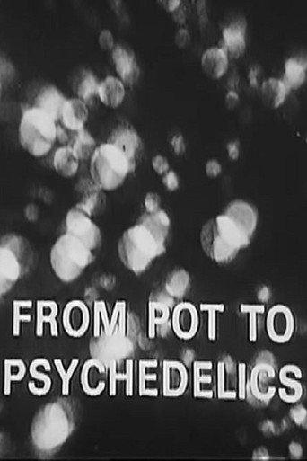 From Pot To Psychedelics (1968) poster