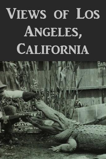 Views of Los Angeles, California (1912) poster