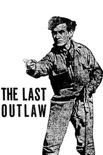 The Last Outlaw (1919) poster