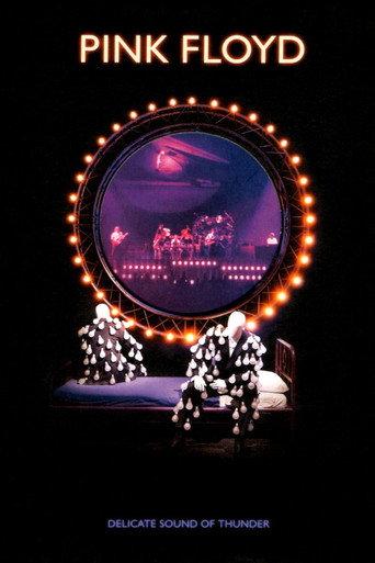 Pink Floyd - Delicate Sound Of Thunder (2026) poster