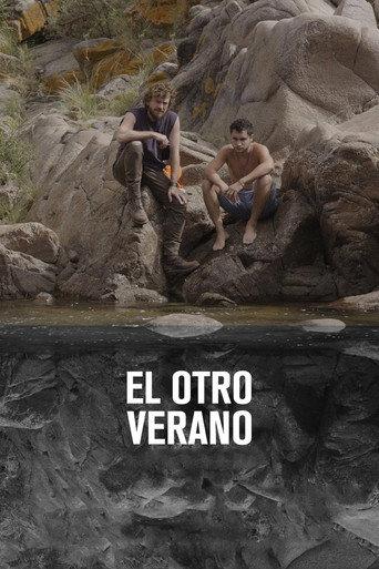 The Other Summer (2018) poster
