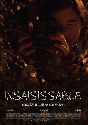 Insaisissable () poster