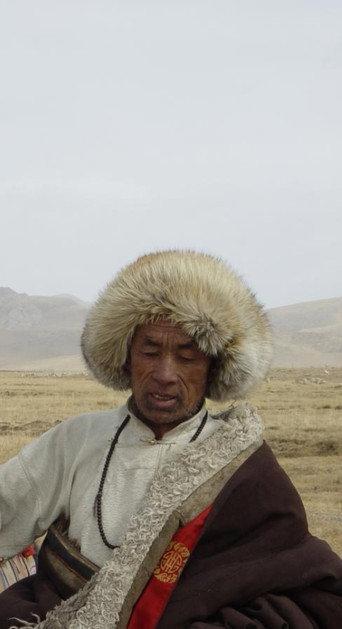 The Grassland (2004) poster
