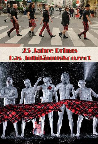 25 Jahre Brings - Das Jubiläumskonzert (2016) poster