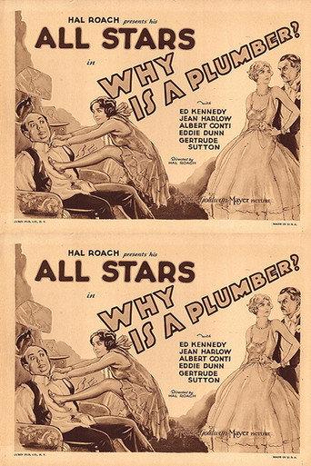 Why Is a Plumber? (1929) poster
