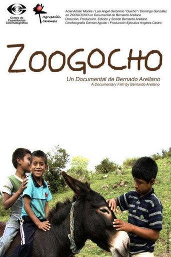 Zoogocho (2008) poster