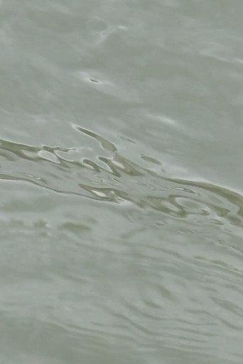 entre les vagues (un hommage) (2023) poster