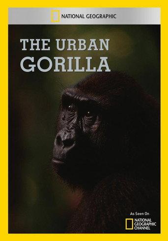 The Urban Gorilla (1991) poster