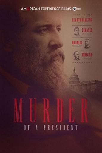 Murder of a President (2016) poster