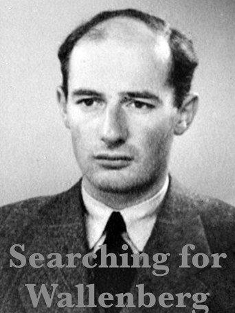 Searching for Wallenberg (2003) poster