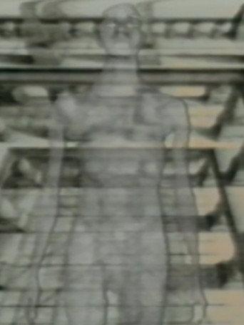 Viewers Of Optics (1987) poster