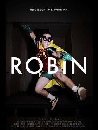 ROBIN (2022) poster