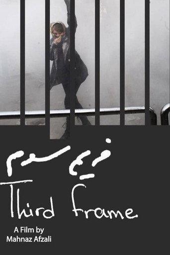 The Third Frame () poster