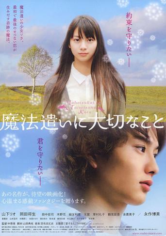 Someday's Dreamers (2008) poster