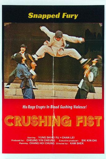 The Great Chinese Boxer (1974) poster