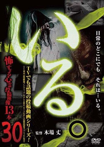 「Iru.」~ Kowasugiru Tōkō Eizō 13-hon ~ Vol.30 (2019) poster