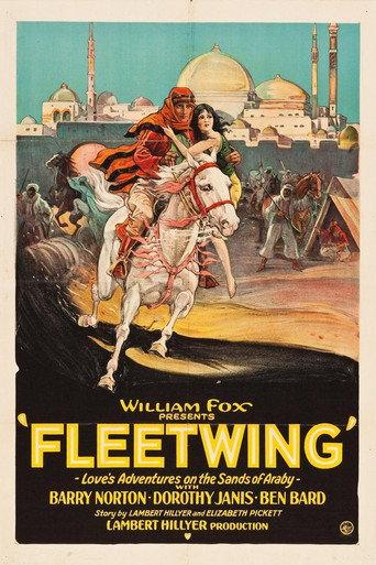 Fleetwing (1928) poster