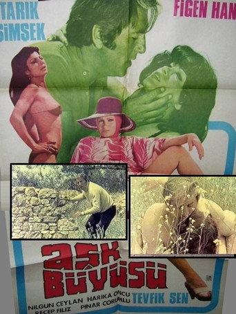 Aşk Büyüsü (1979) poster