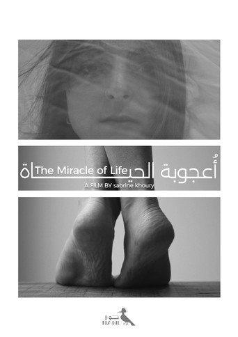 The Miracle of Life (2025) poster