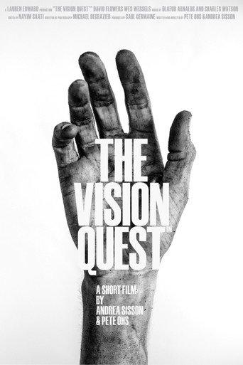The Vision Quest™ (2014) poster