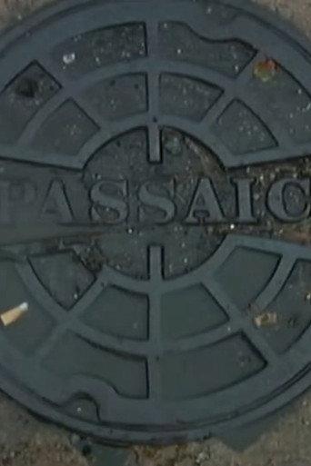 Passaic Mosaic (2008) poster
