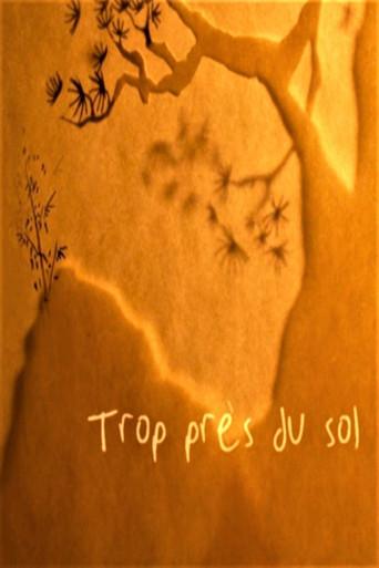 Trop près du sol () poster