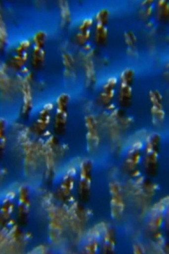 Jelly (2012) poster