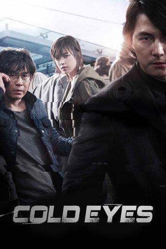 Cold Eyes (2013) poster