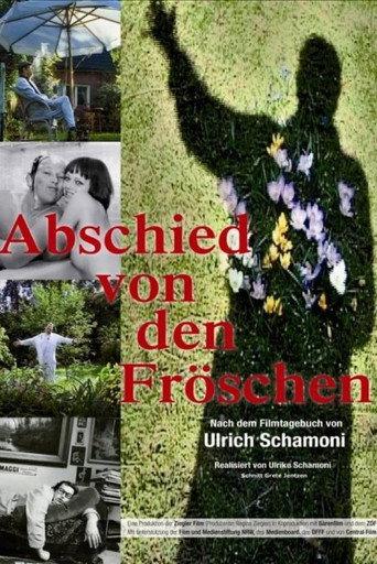 Abschied von den Fröschen (2012) poster