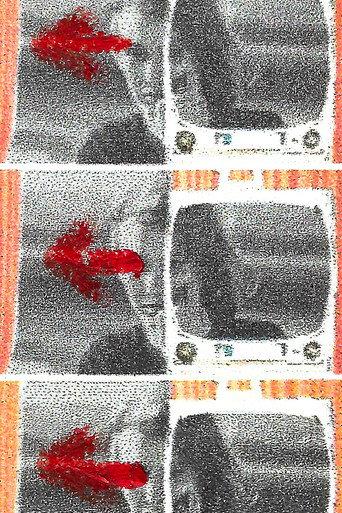 My Glances Went Like Gleaners (2024) poster
