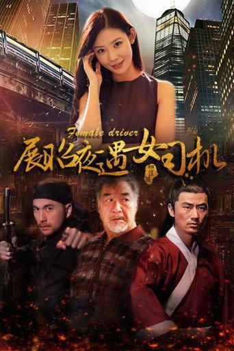 展昭夜遇女司机 (2017) poster