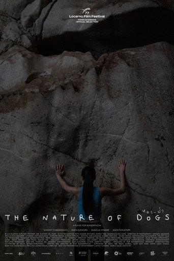 The Nature of Dogs (2024) poster