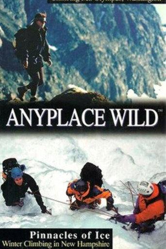 Pinnacles of Ice (1997) poster