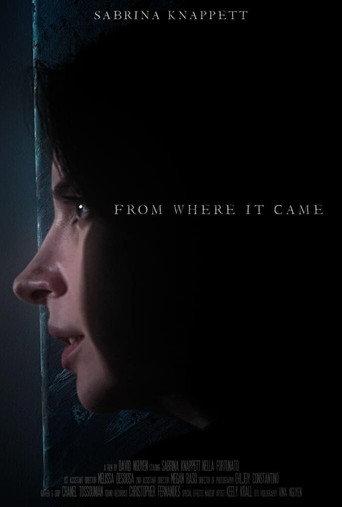 From Where It Came (2021) poster