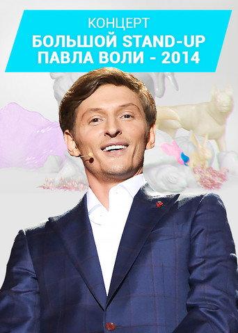 Pavel Volya: Big Stand-Up 2014 (2014) poster