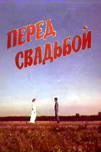 Before the Wedding (1987) poster