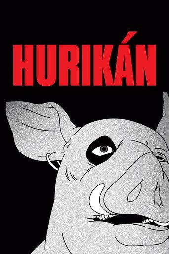 Huricane (2024) poster