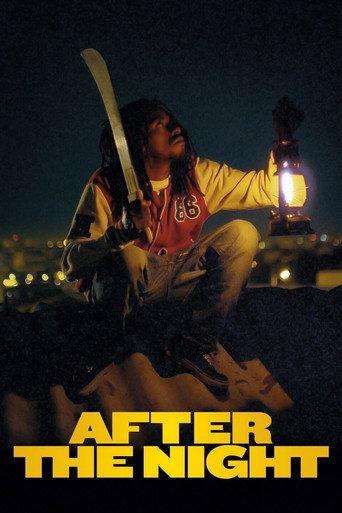 After the Light (2013) poster