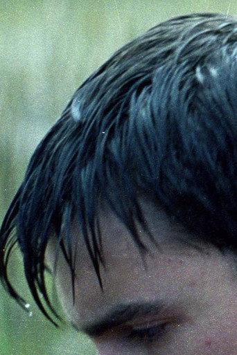 Echo (2008) poster