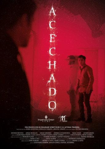 Followed (2022) poster
