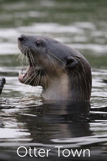 Otter Town (2016) poster