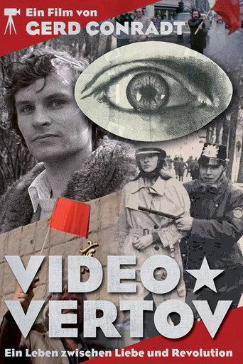 Video Vertov (2013) poster