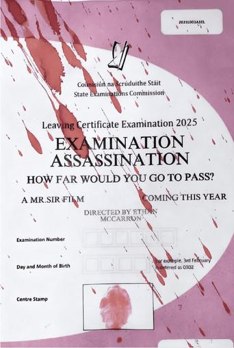 Examination Assassination (2025) poster
