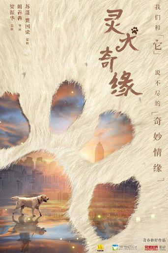 灵犬奇缘 (2022) poster