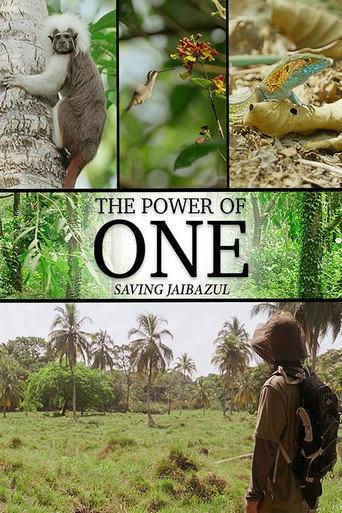 The Power of One () poster