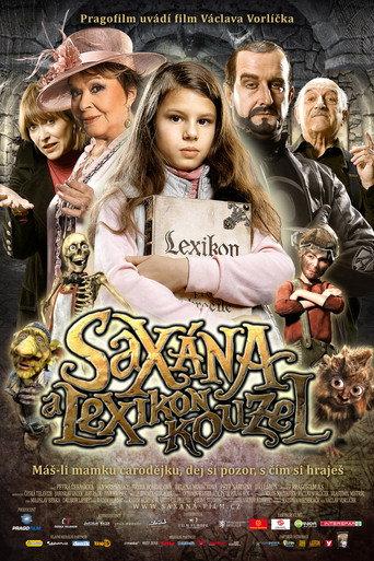 Little Witch on a Broomstick (2011) poster