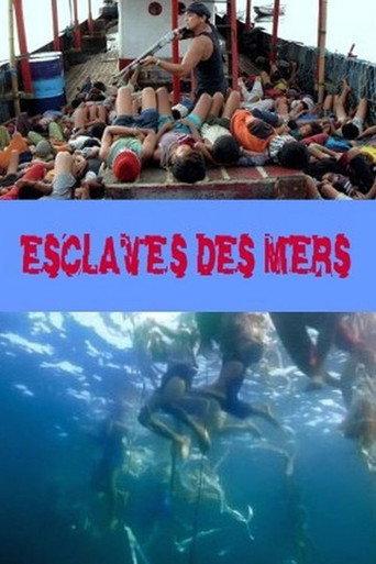 Slaves of the Seas (2009) poster