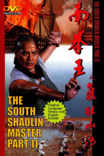 The South Shaolin Master Part II (1994) poster