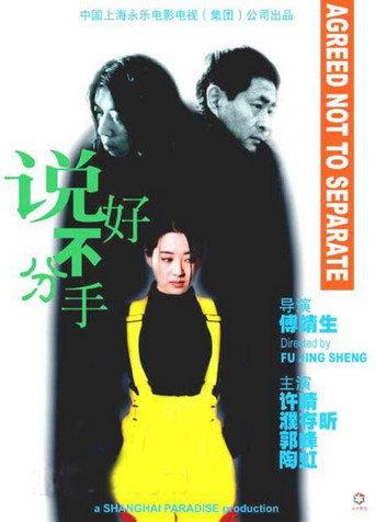 Agreed Not to Separate (1999) poster